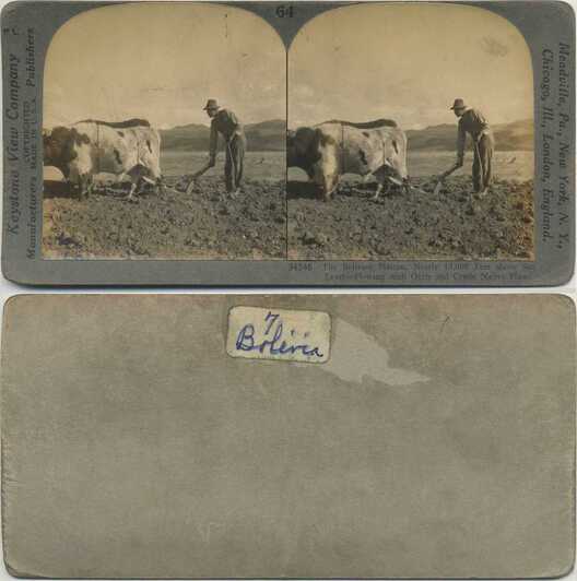 Man Plowing with Ox on Plateau