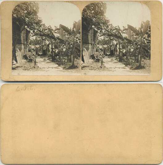 Village Path with Tropical Huts