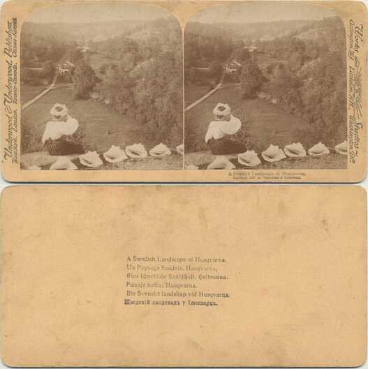 Swedish Landscape with Woman