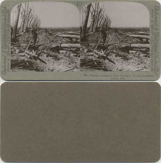 WWI Desolation: Soldier on Battlefield