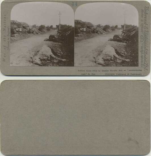 WWI: Dead horses, communication road