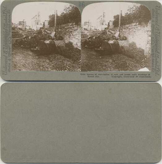 Bodies of Men & Horses in War