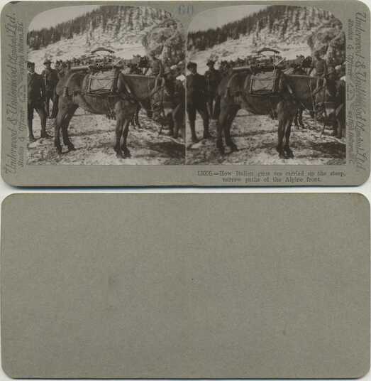 Mules with Guns on Alpine Front
