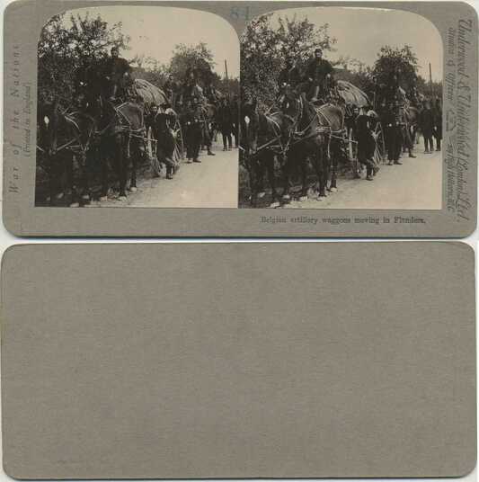 Belgian Artillery Wagons in Flanders