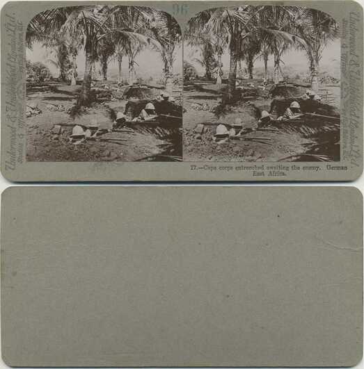 Cape Corps Entrenched in Palms
