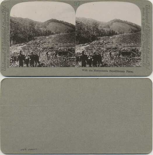 Mesopotamia Expeditionary Force