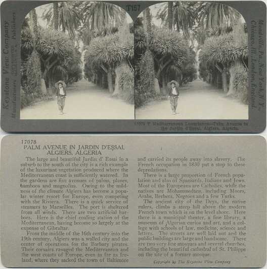 Palm Avenue, Jardin d'Essai