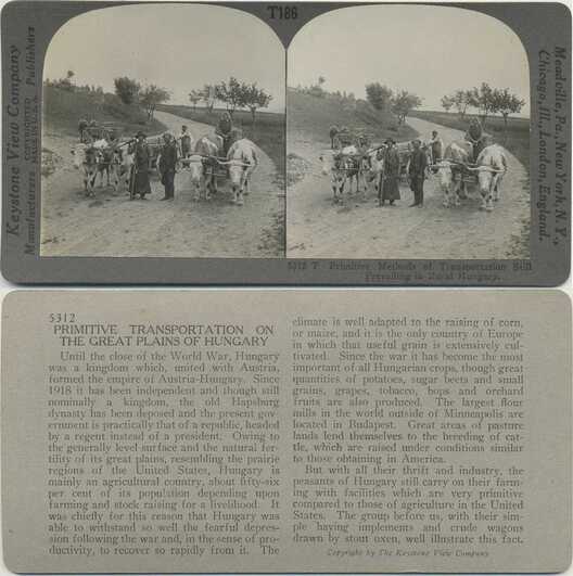 Oxen-drawn Wagons in Rural Hungary