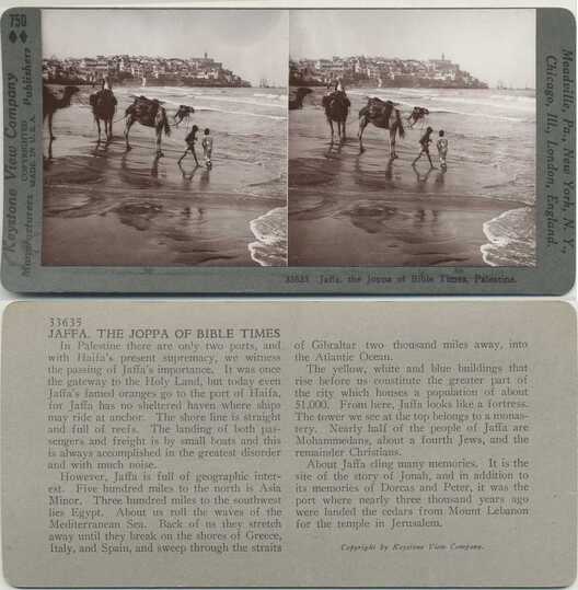 Jaffa Shore with Camels and City