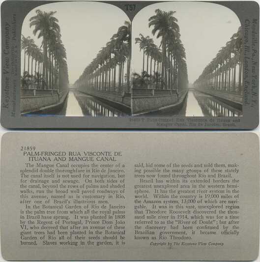 Palm-fringed Avenue and Canal