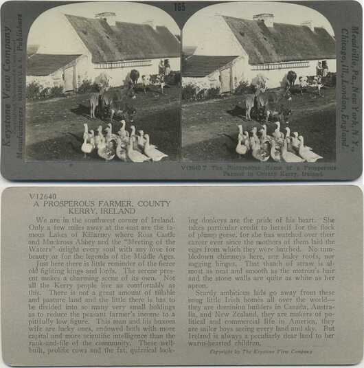 Prosperous Irish Farm Scene