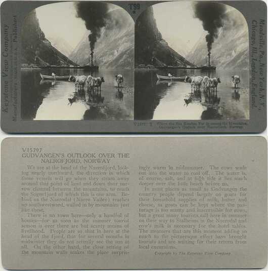 Fjord with Steamboat and Cattle