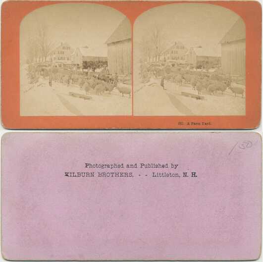 Winter Farmyard with Sheep