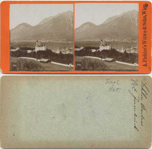 Alpine Castle & Valley Landscape