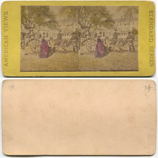 Florida Express Wagon