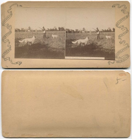 Hunter with Dogs in Stubble Field