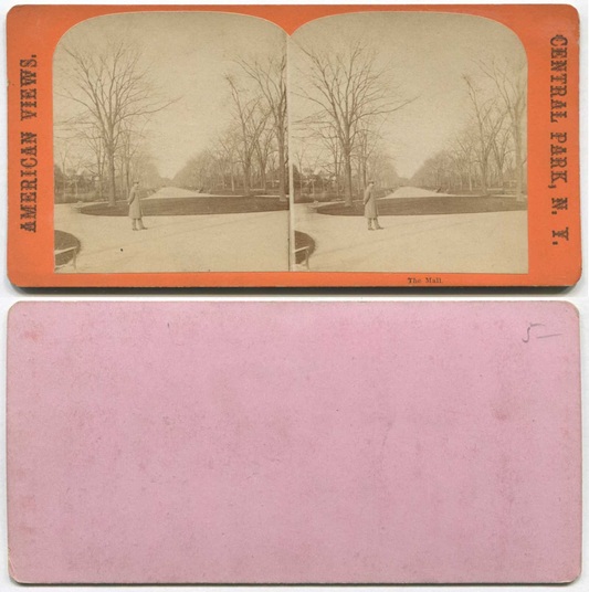 Park Mall with Bare Trees