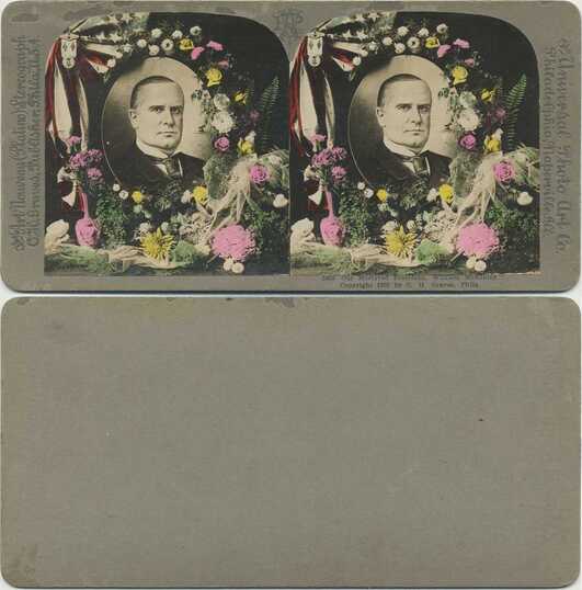 President William McKinley Portrait
