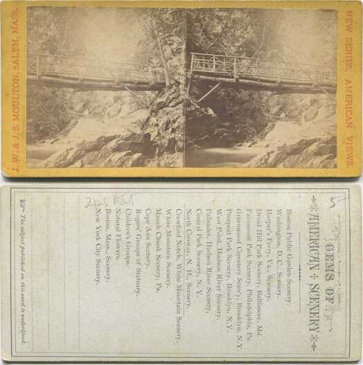 Rustic Bridge over Gorge