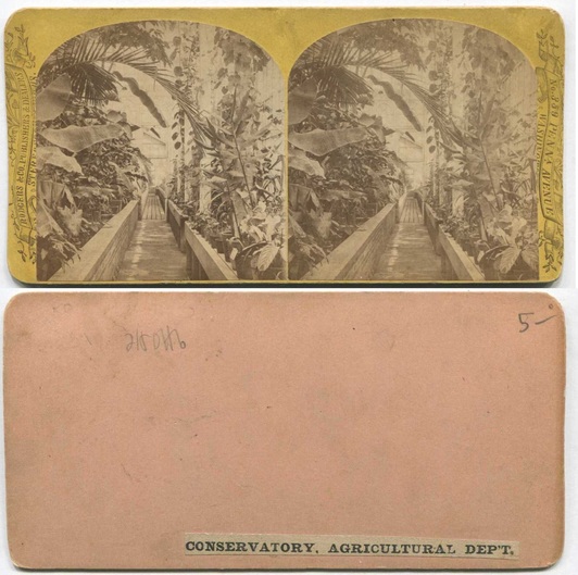 Agricultural Dept Conservatory