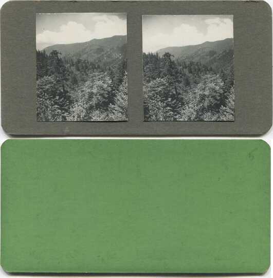 Forested Mountain Landscape