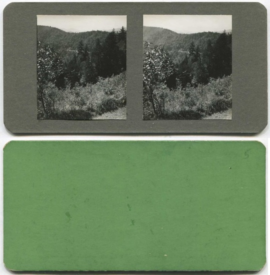 Road Through Forested Mountains