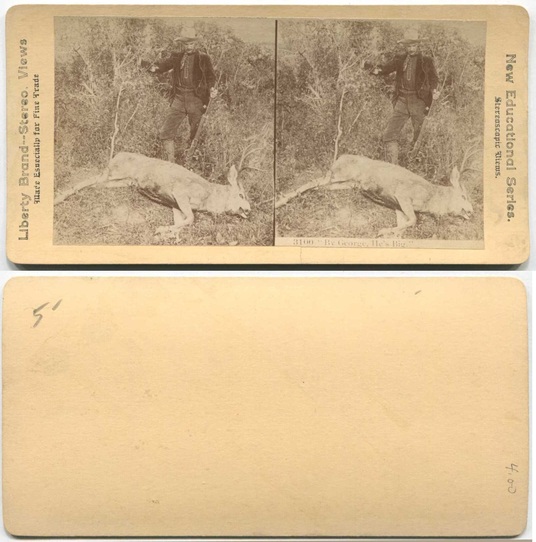 Hunter and Large Deer