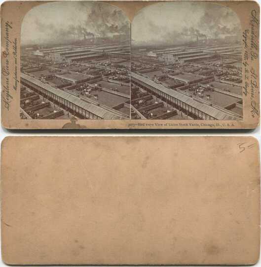 Bird's-eye View of Union Stock Yards