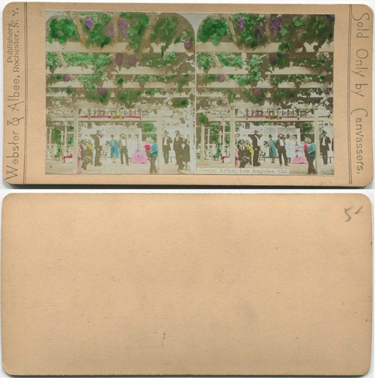 People under Grape Arbor