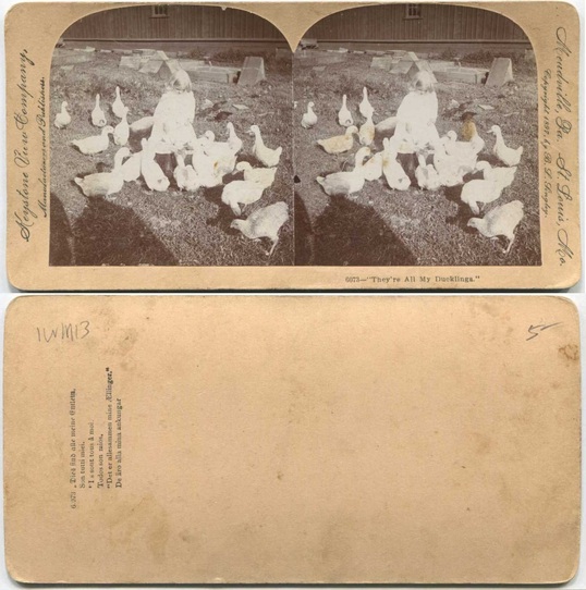 Young Girl with Ducklings