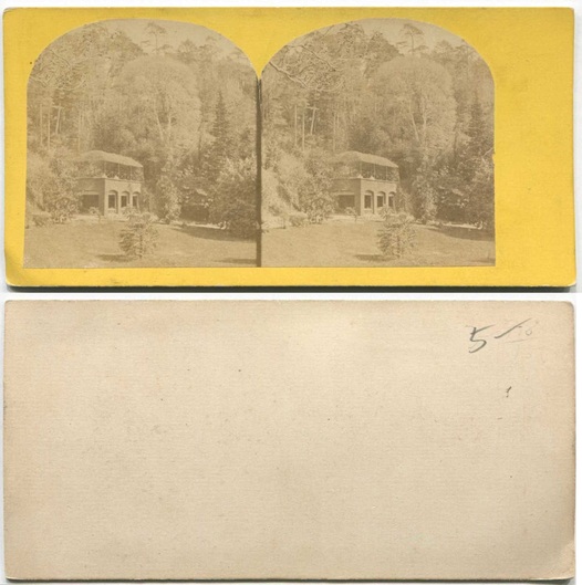 Pavilion in Wooded Landscape