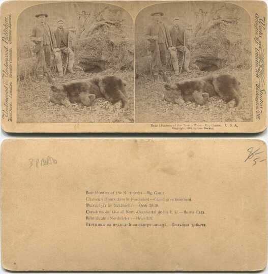 Bear Hunters with Big Game