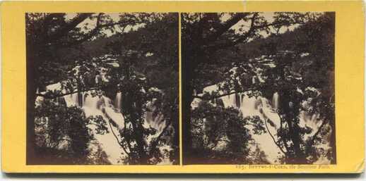 Swallow Falls through Trees
