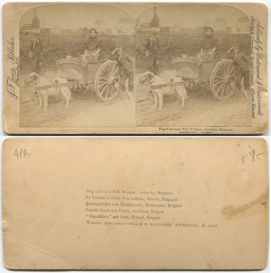 Dog Cart and Milk Woman