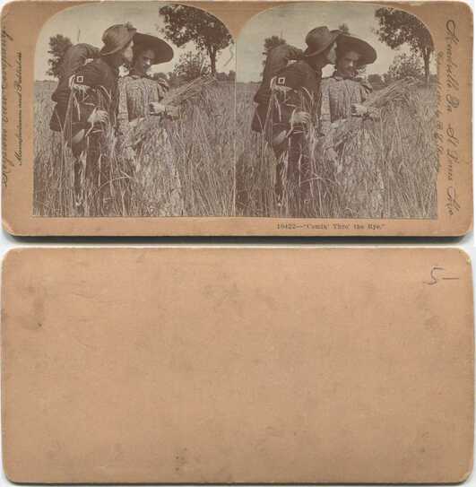 Couple Kissing in Rye Field