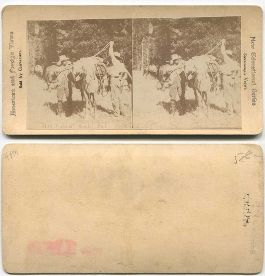 Men Packing Mules