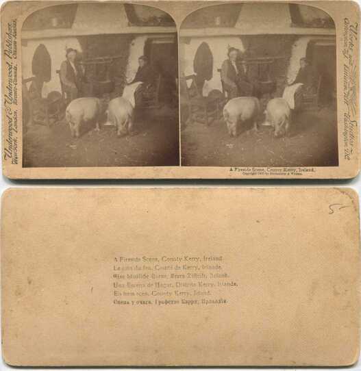 Fireside Scene with People and Pigs
