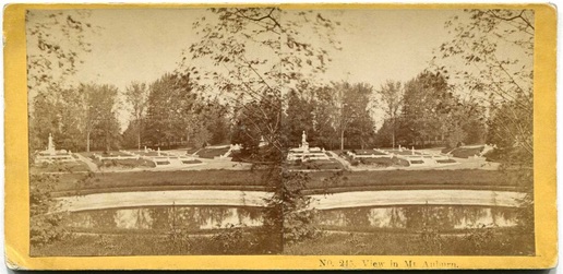 View in Mount Auburn Cemetery