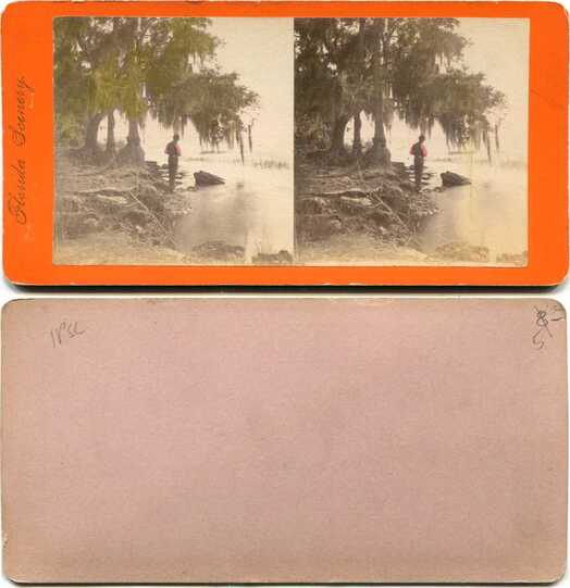 Man Fishing in Mossy Landscape