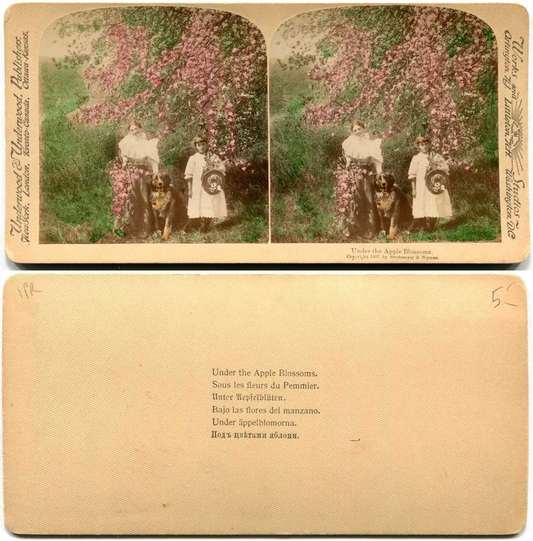 Girls and Dog Under Apple Blossoms