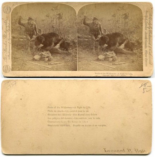 Wilderness Bear Attack