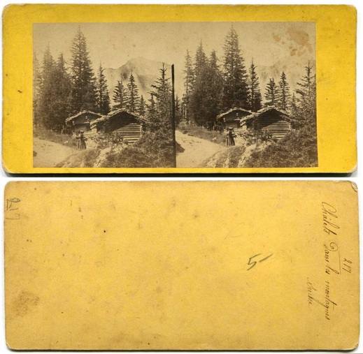 Mountain Chalets and Forest Path