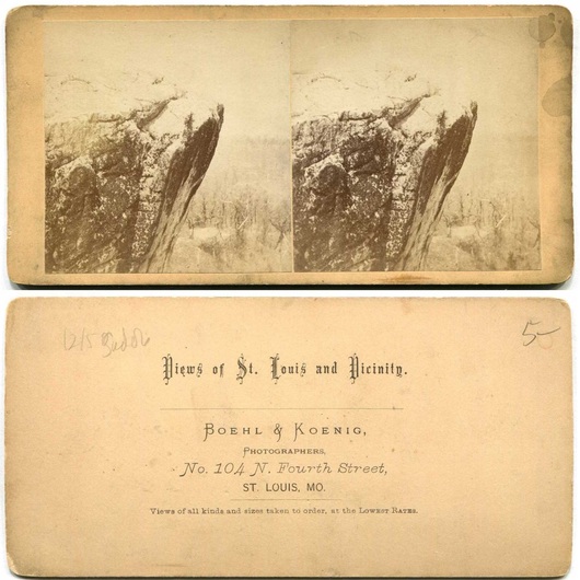 Rocky Cliff Face and Woodland