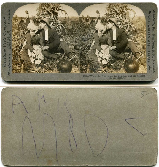 Couple Kissing in Cornfield