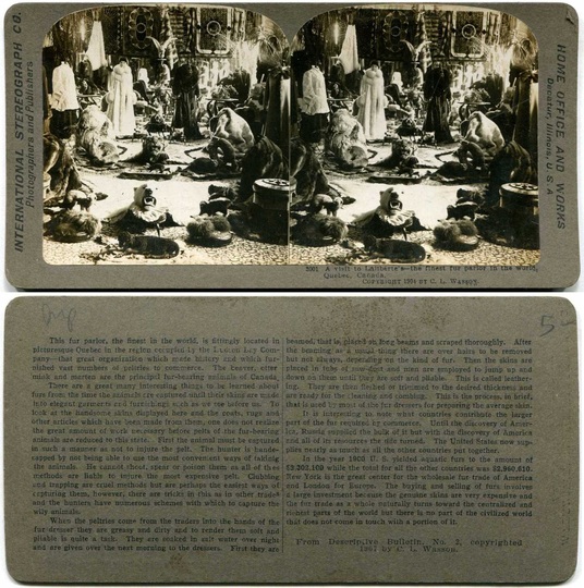 Fur Parlor Interior