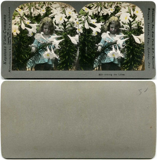 Girl Among Lilies