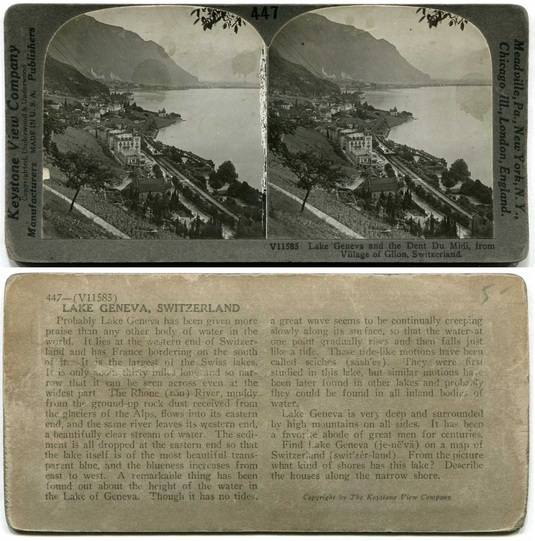 Lake Geneva & Dent Du Midi View