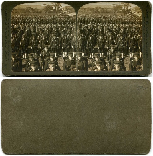 Japanese Soldiers at Emperor's Review