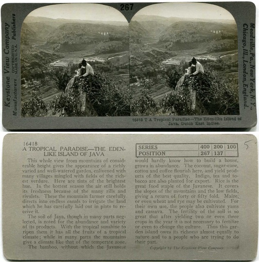 Java Terraced Valley with Figures