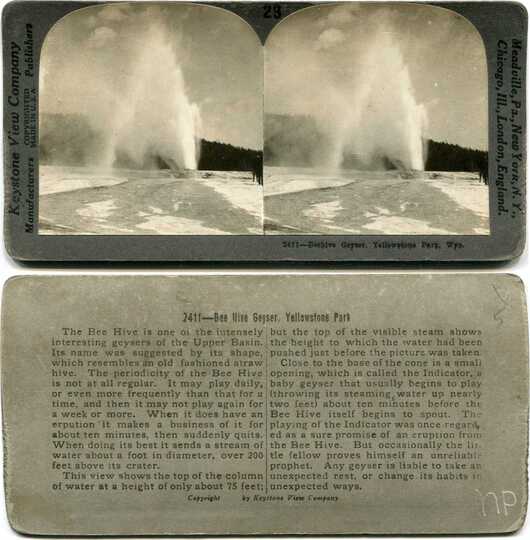 Beehive Geyser Eruption